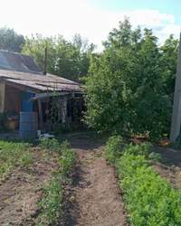 Продам дачу Энергостроитель