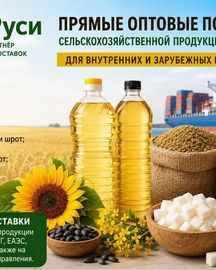 Сельхозпродукция оптом из России - масла, шрот, мука, сахар на экспорт