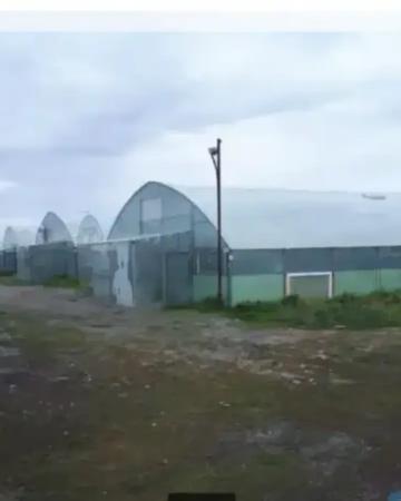 Продам тепличное хозяйство