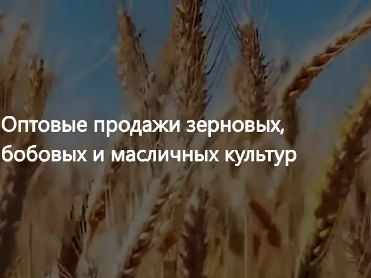 ООО Агропром - оптовая реализация продуктов питания экспорт | Масложировая продукция | Астана | Галерея объявления (SEO) | 2