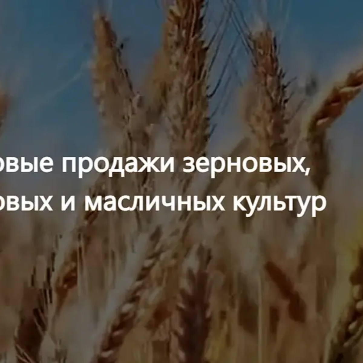ООО Агропром - оптовая реализация продуктов питания экспорт | Масложировая продукция | Астана | Галерея объявления (SEO) | 1