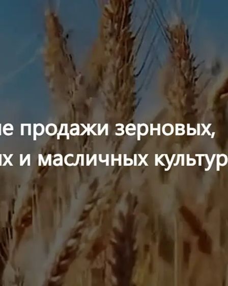 ООО Агропром - оптовая реализация продуктов питания экспорт | Масложировая продукция | Астана | 1