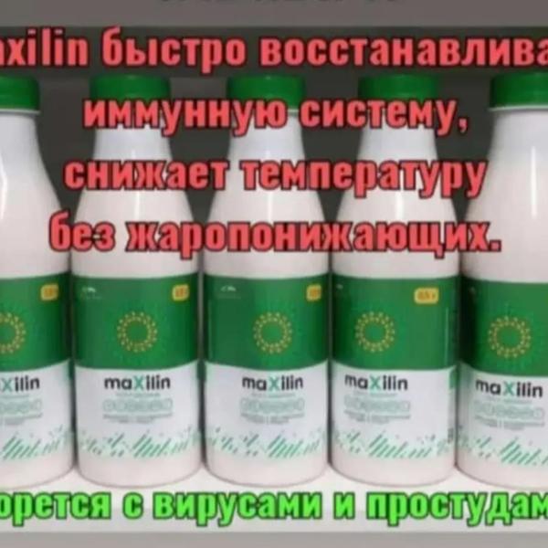 Пробиотик Максилин для здоровья всей семьи | Другие товары для красоты и здоровья | Тараз | 2