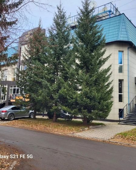 Стратегический хаб в «Казахстанской Швейцарии» (200 кВт / от 36 000 000 ₸ доходности в год) | Продам здание, помещение | Риддер | 5