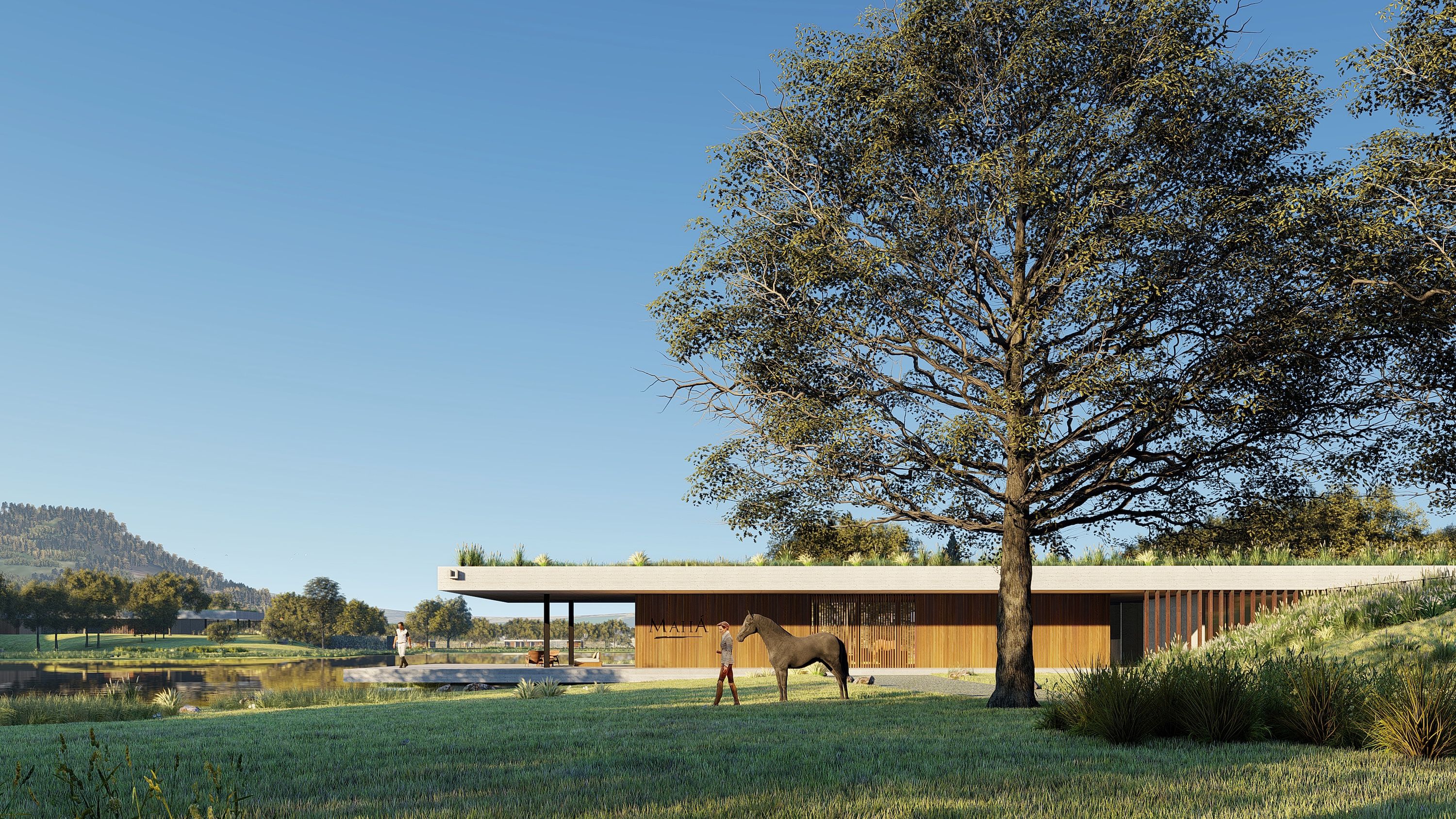 Centric General Contractors Construction and Build California Polo Center Sideview