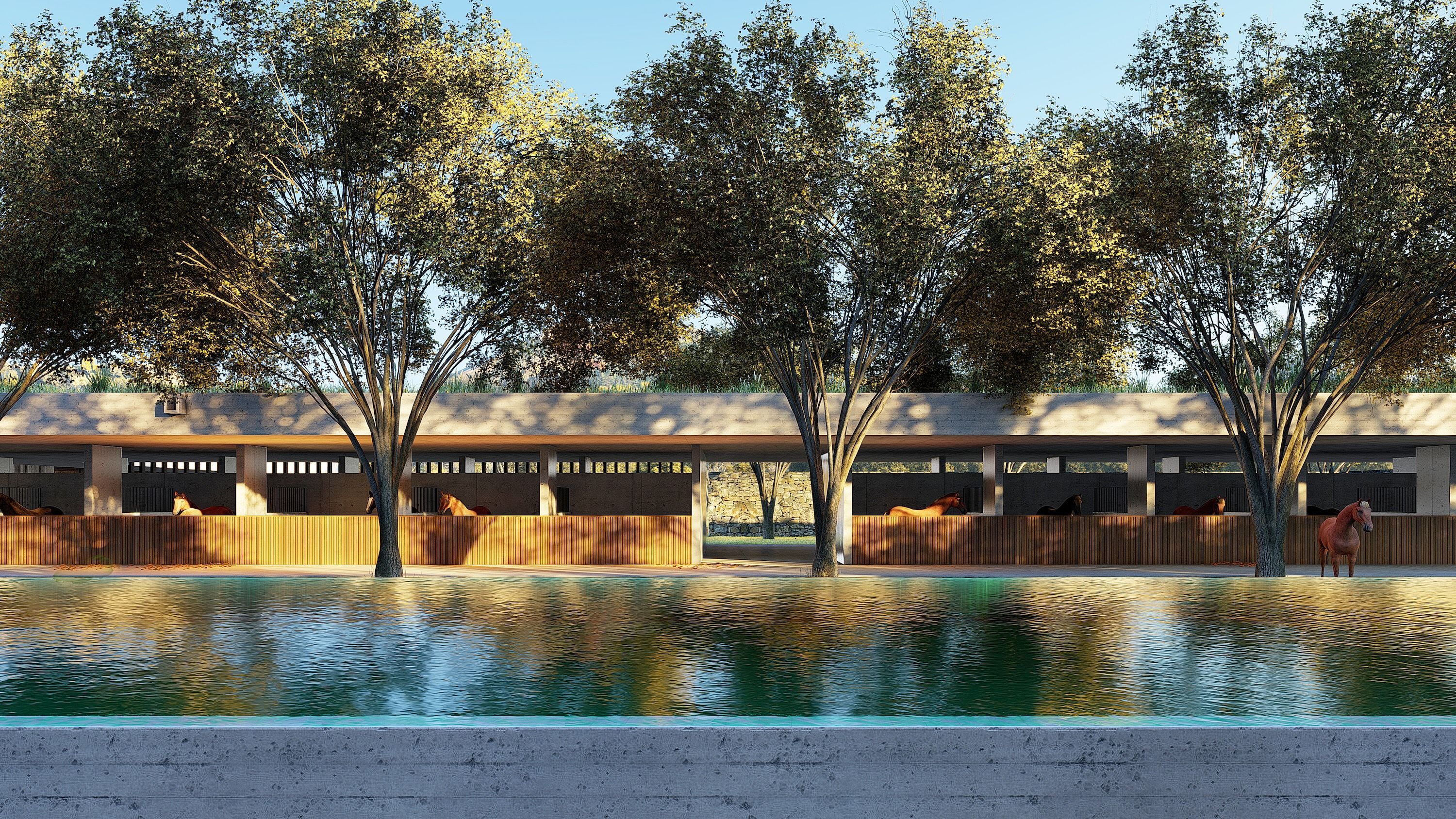 Centric General Contractors Construction and Build California Polo Center Inner Courtyard with Pool Crop