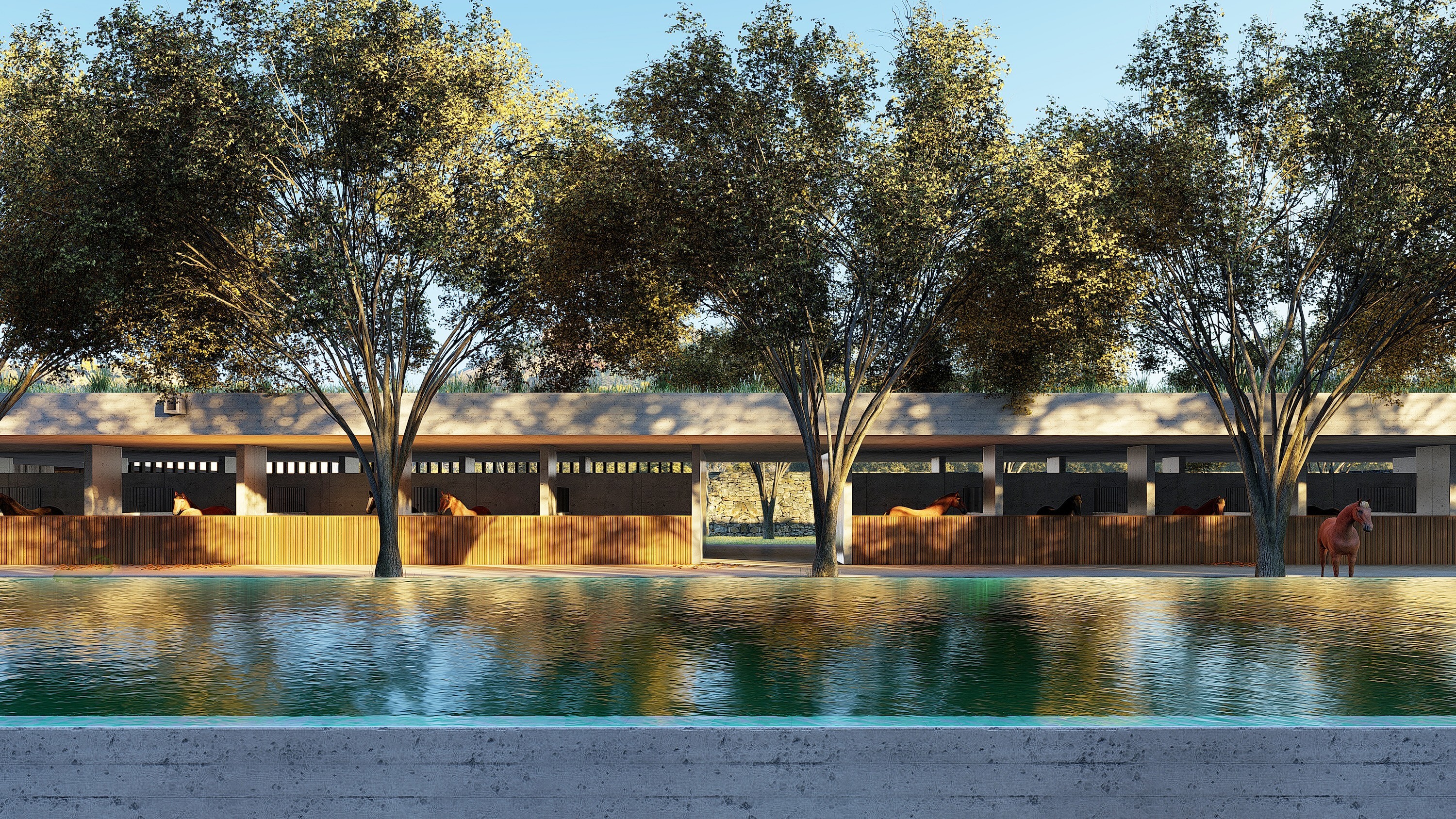 Centric General Contractors Construction and Build California Polo Center Inner Courtyard with Pool Crop