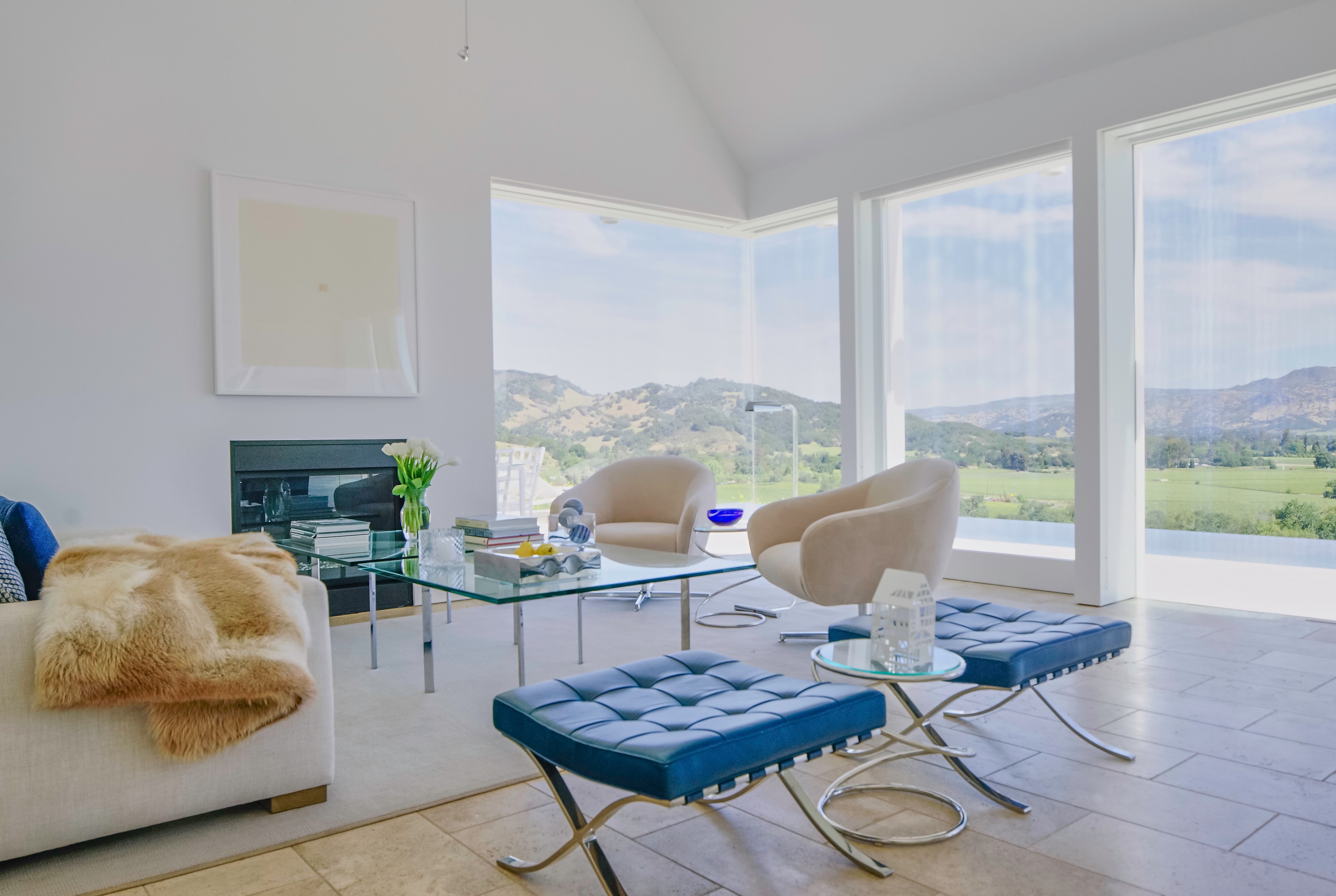 Centric General Contractors Construction and Build California The Birdhouse Interior Livingroom