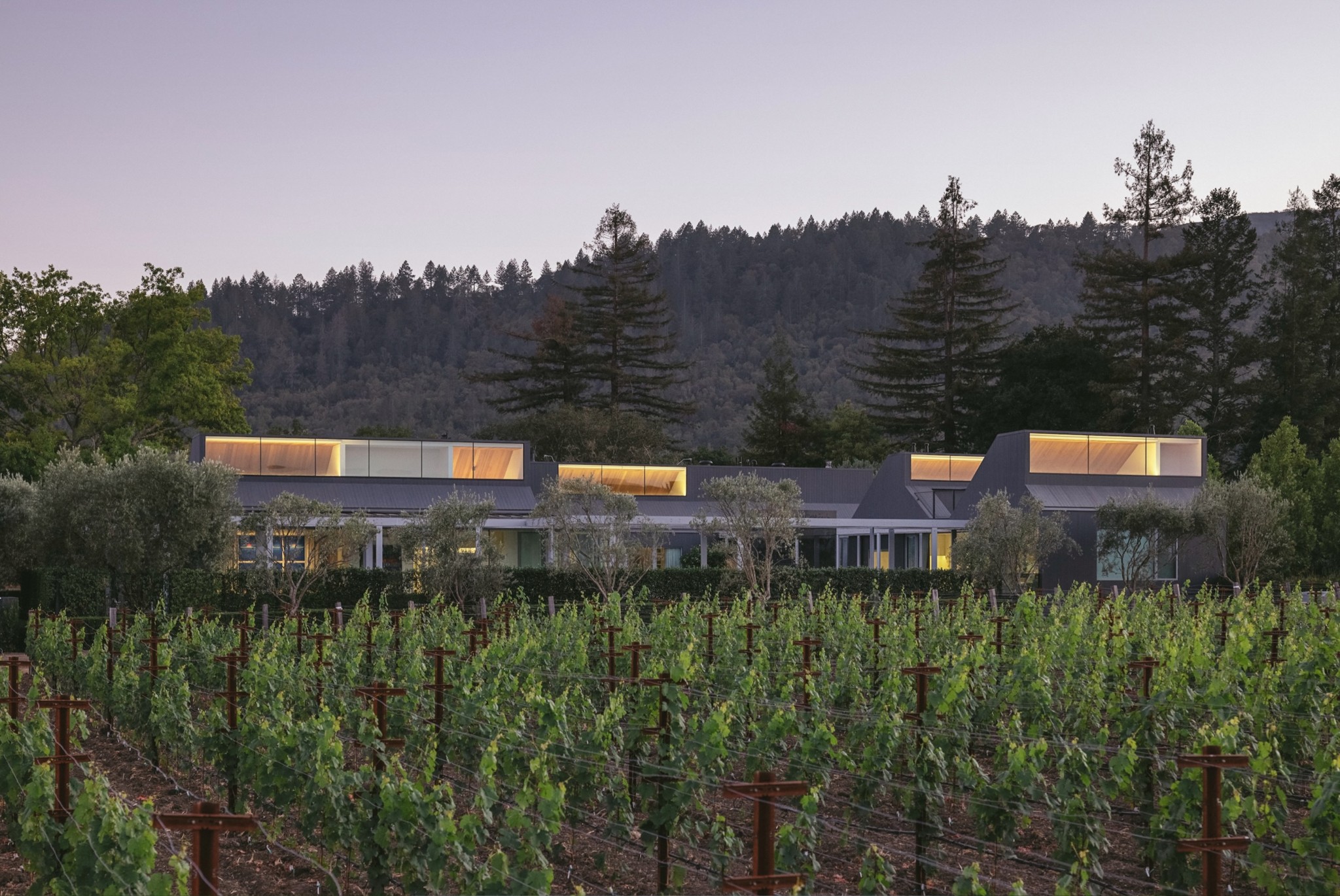 Centeric General Contractors Construction and Build California Contact Napa Valley