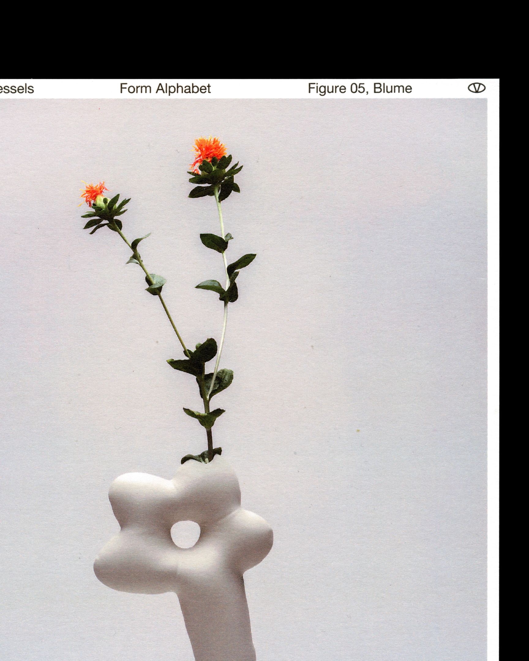 © Marcus Woodfield 2025