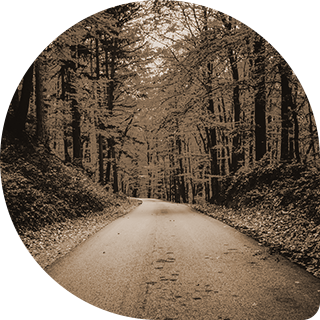 image alt text
