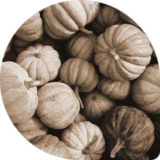 image alt text
