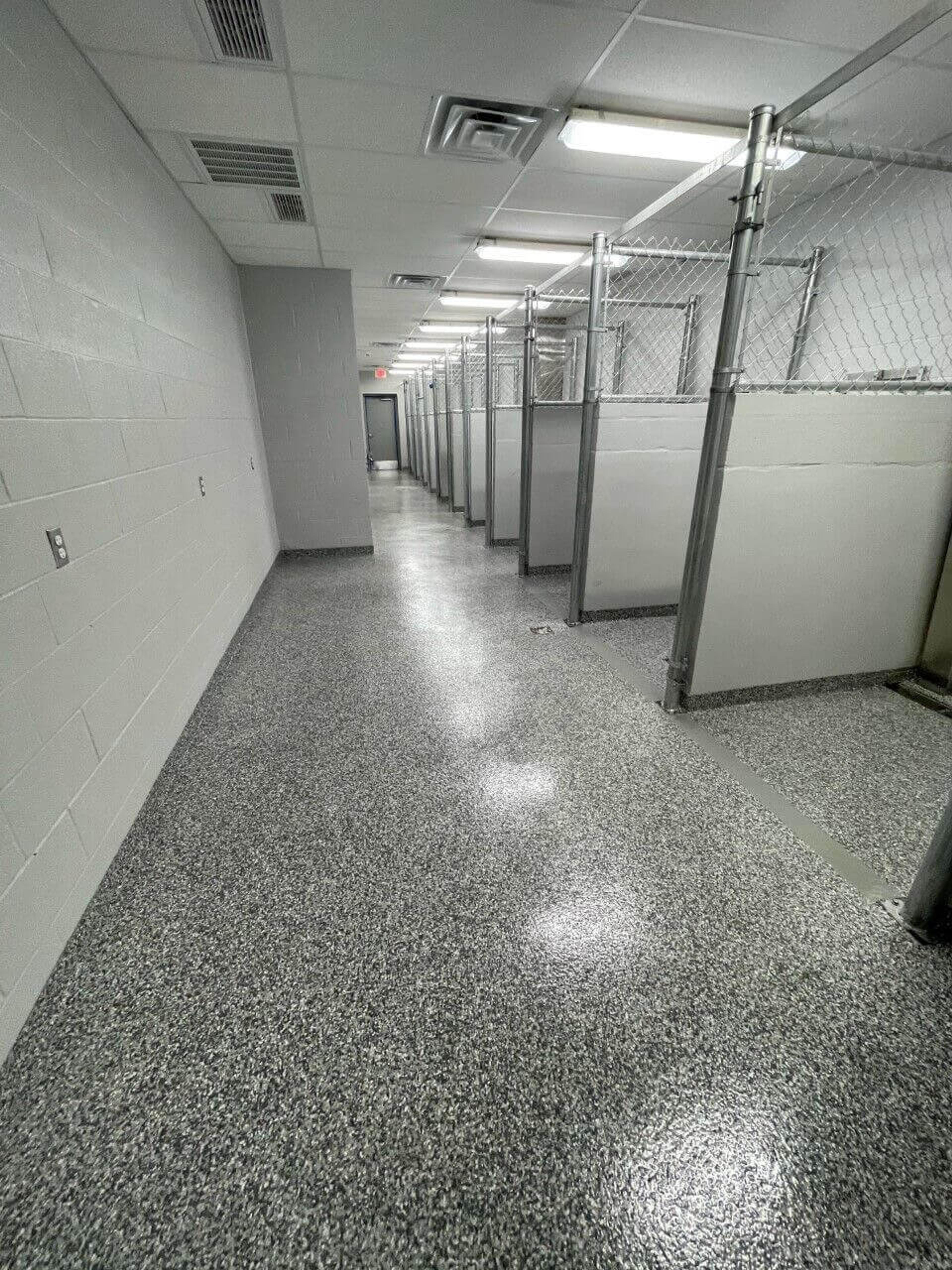 Speckled flake epoxy floor in a veterinary clinic hallway with kennels