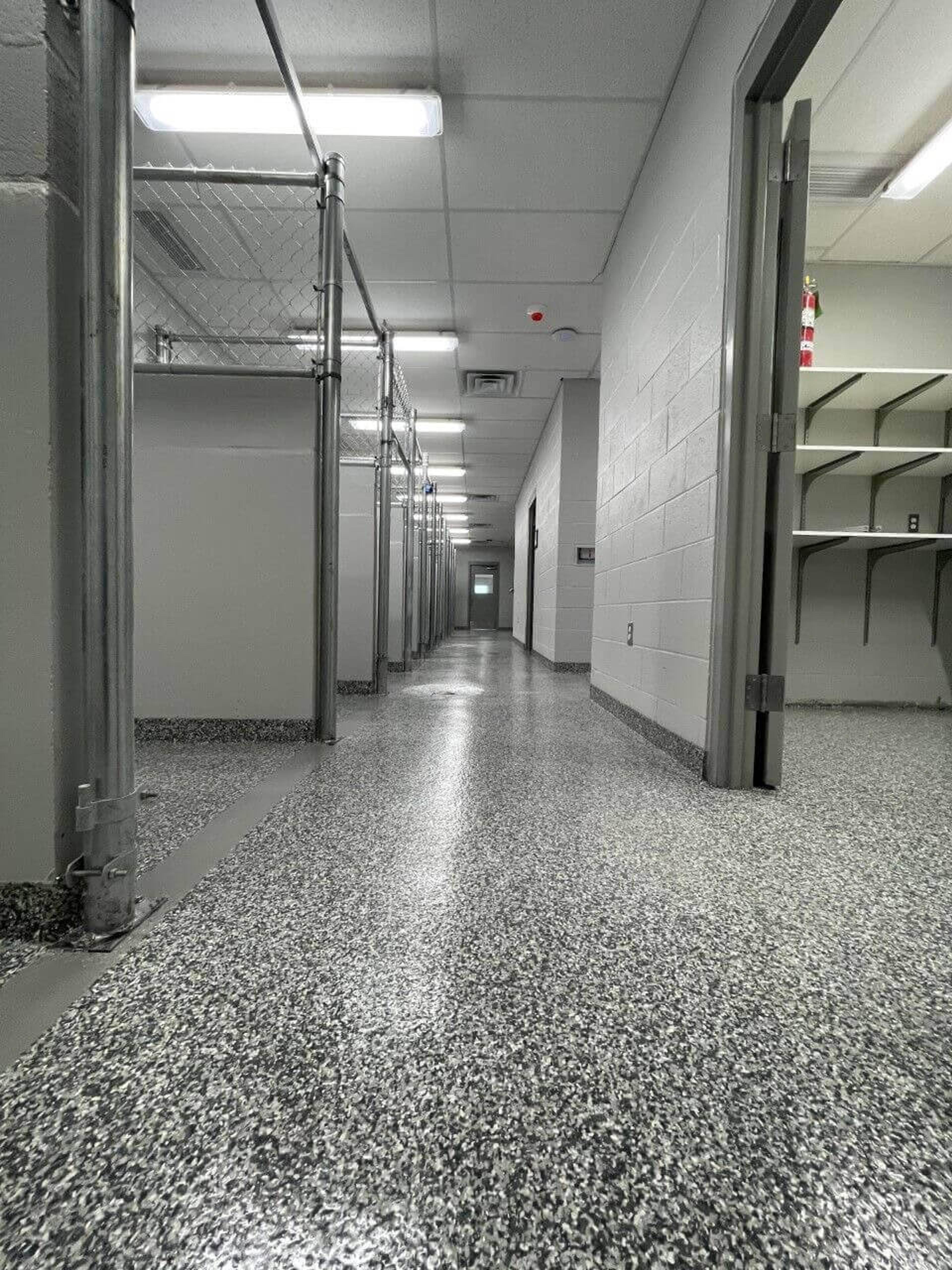 Speckled flake epoxy floor in a veterinary clinic hallway