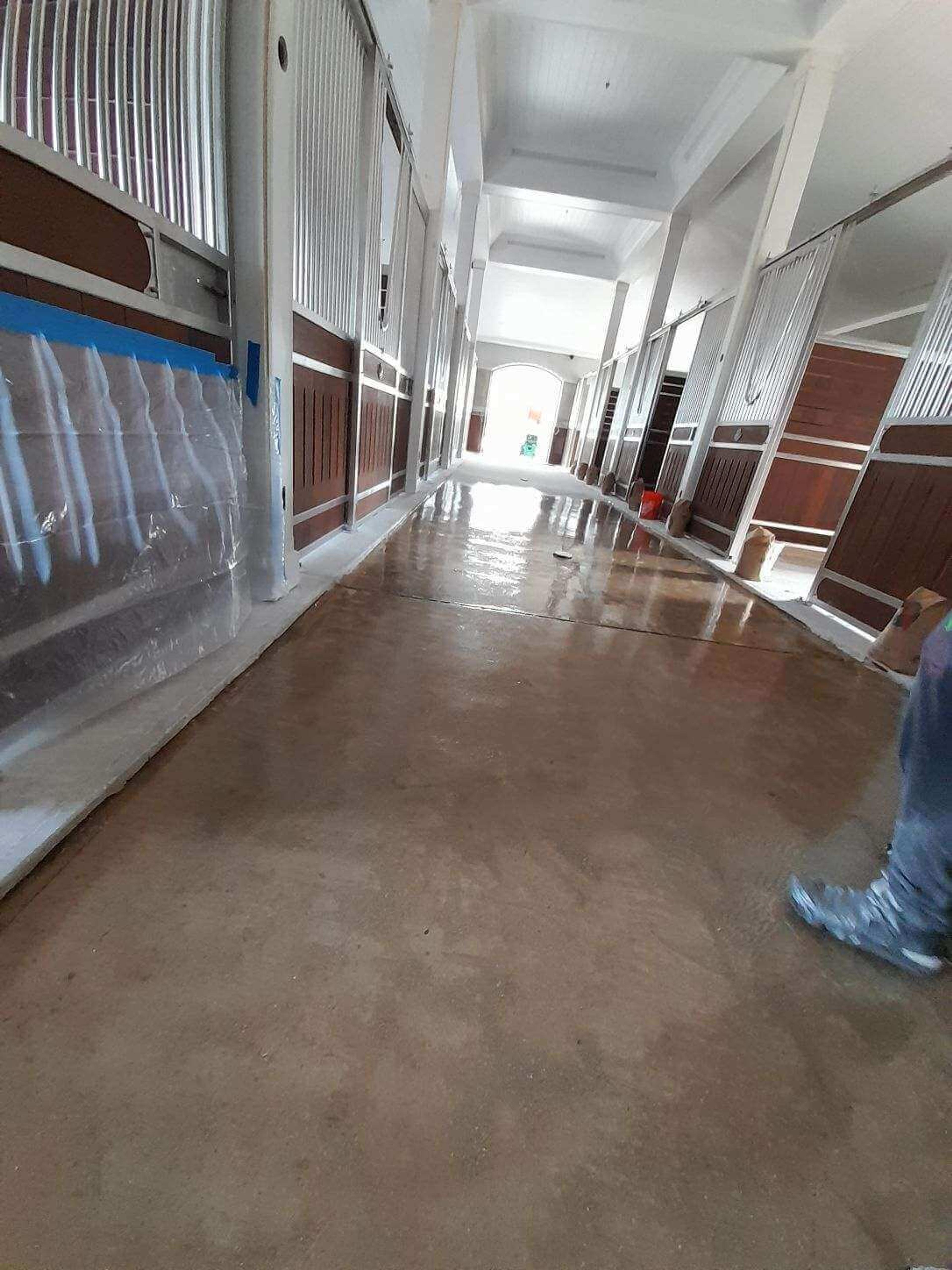 Stained concrete floor in a veterinary kennel hallway
