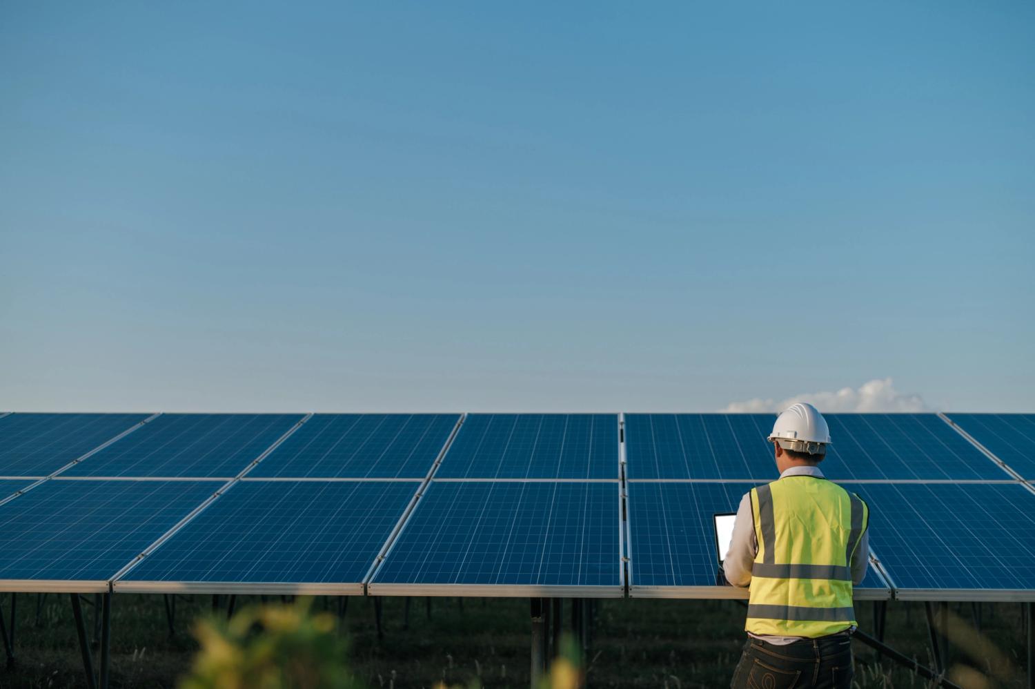 Male worker in hight vis inspecting solar panels.