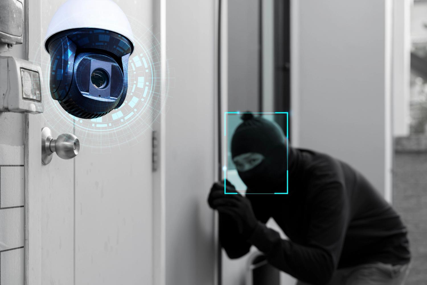DIY home security product
