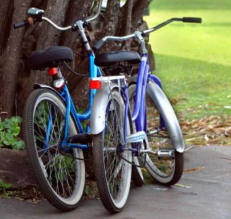 Two blue bicycles leaning on a tree