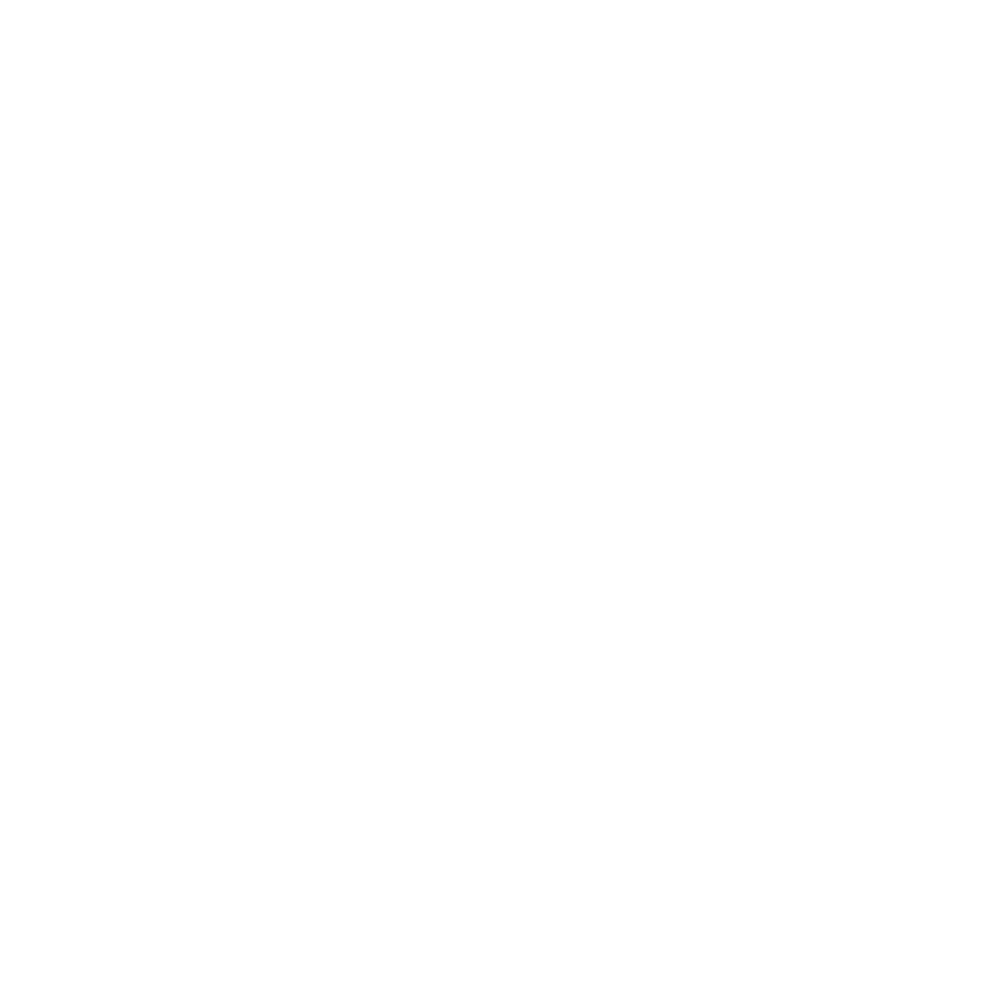 protection icon
