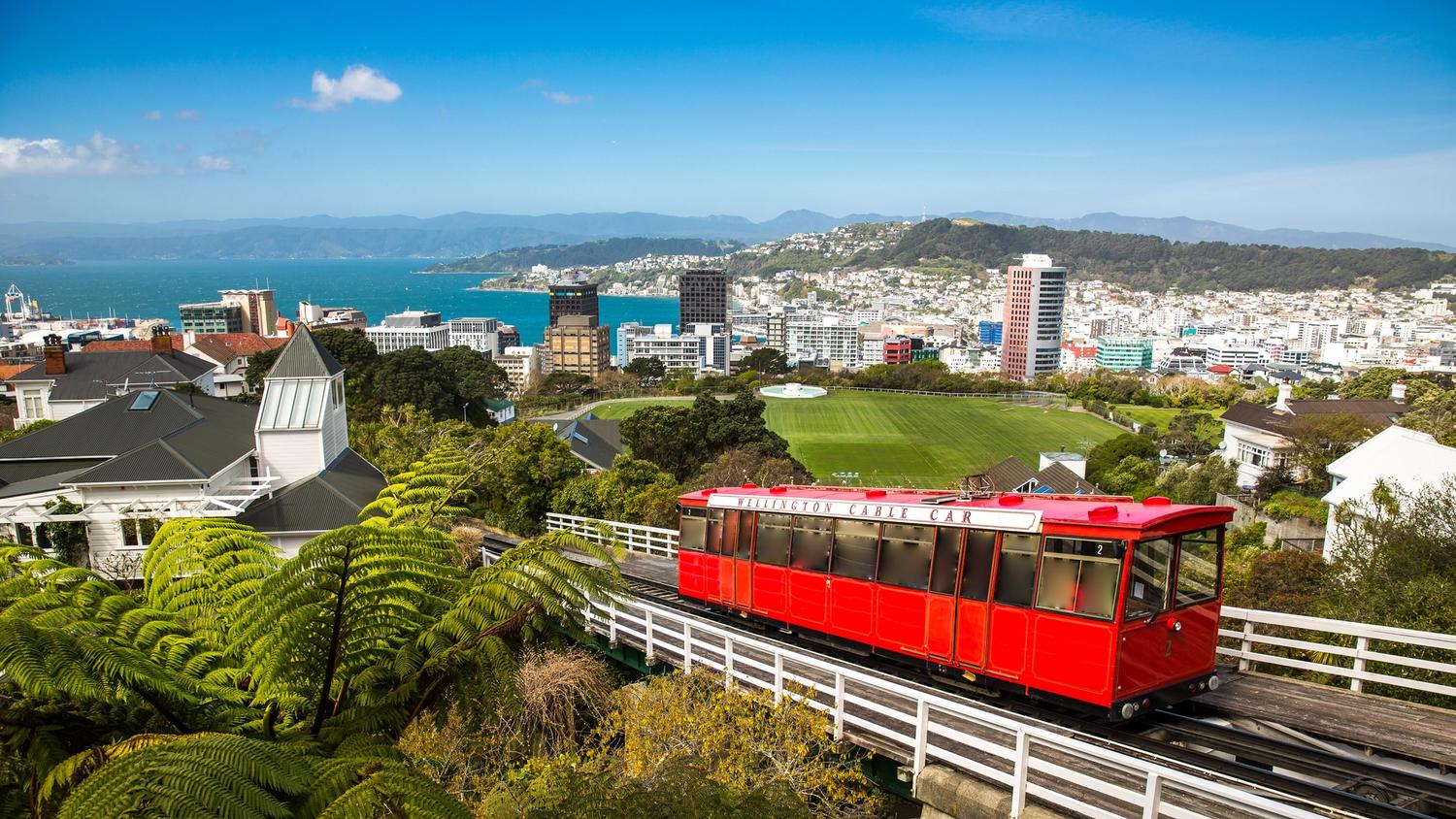 Wellington New Zealand city and red tram