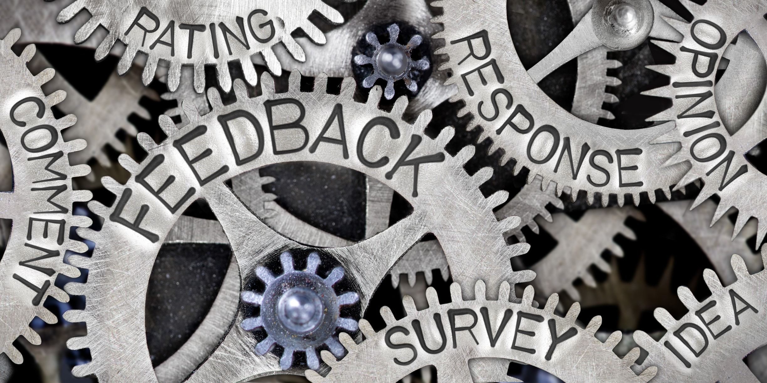 Feedback Loop: il potere dei feedback dinamici nella costruzione di strategie di marketing vincenti
