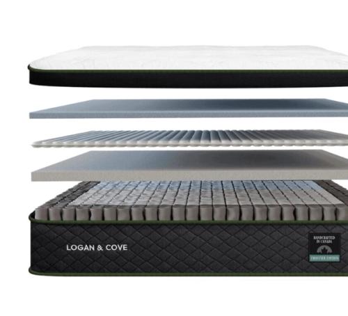 Logan & Cove Choice
