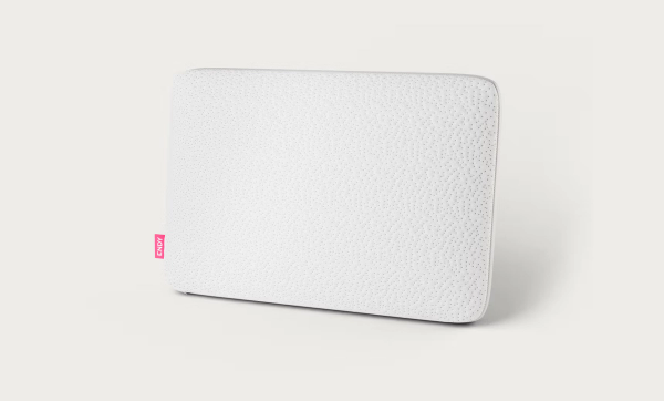 Endy Memory Foam Pillow