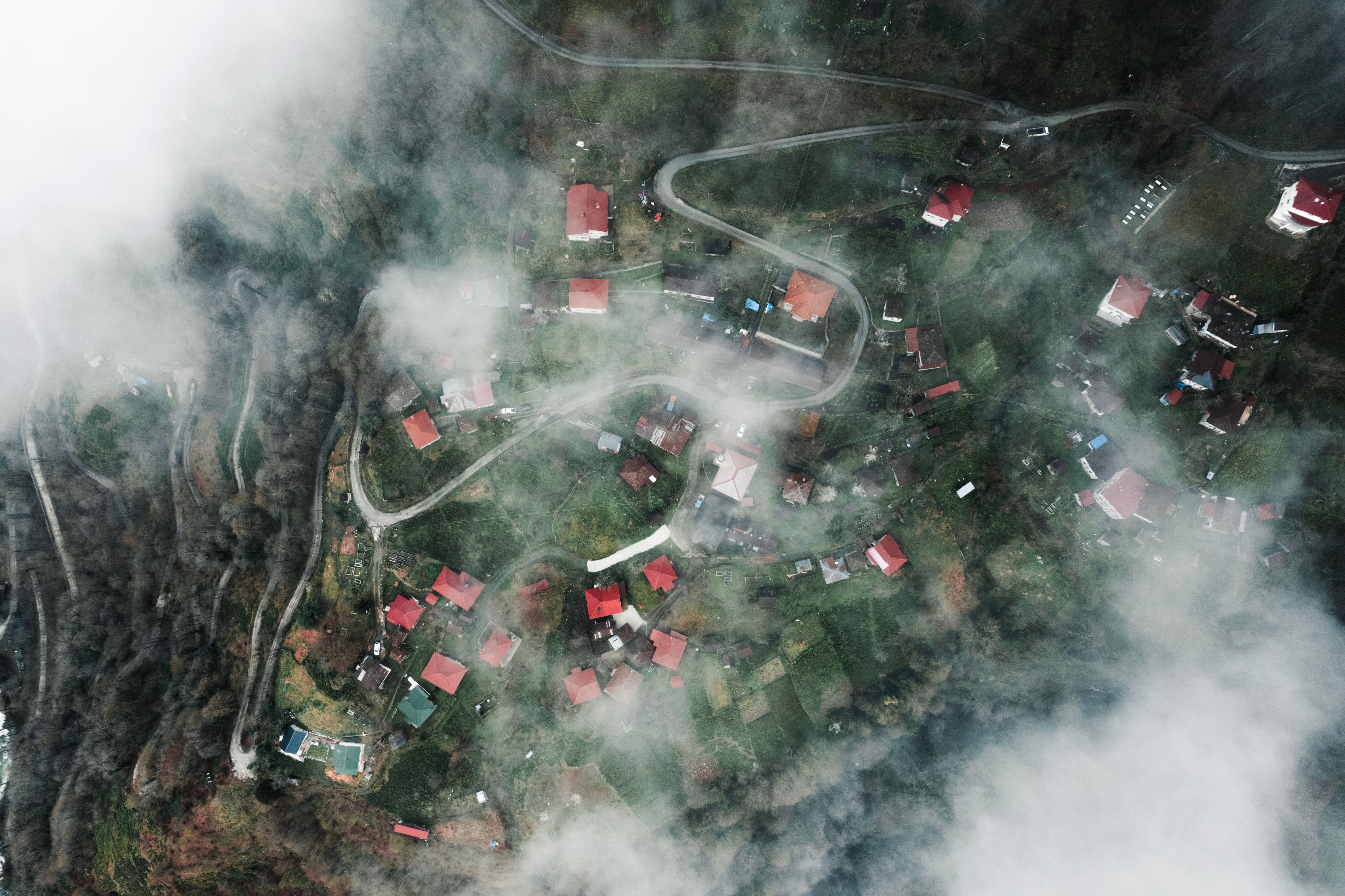 Fethiye'de yangın zararlı tarım arazilerinde hasar tespiti sürüyor — Ekonomi