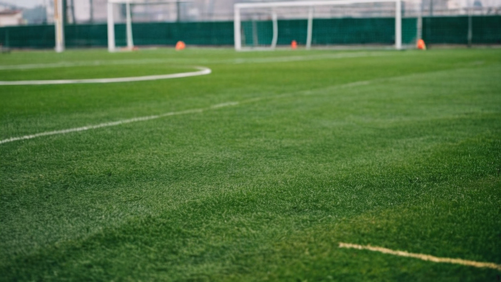 Muğlaspor'da ilk etap çalışmaları tamamlandı — Spor