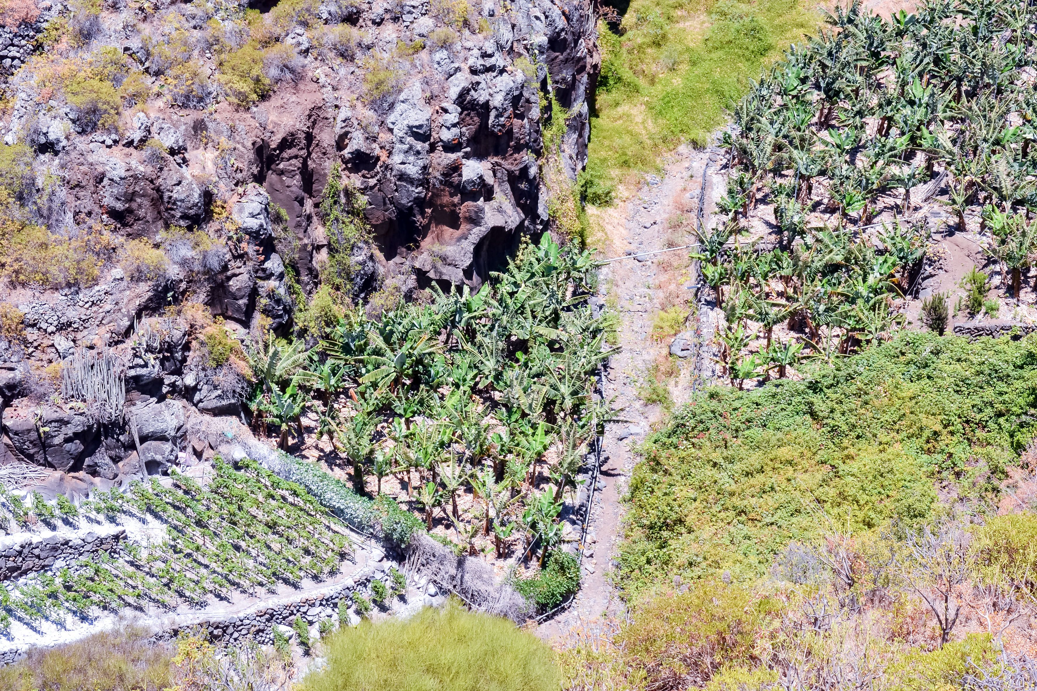 Muğla'ya 56 İlden Toprak Analizi Talebi — Ekonomi