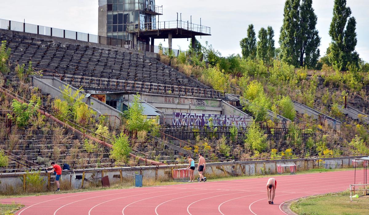 Muğlaspor'un küçük sultanları galibiyet serisini sürdürdü — Spor