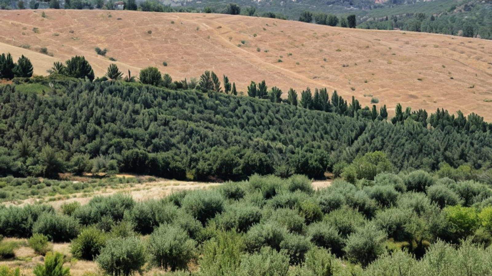 Muğla’da Tarım ve Orman Bakanı Yumaklı’dan Temaslarda Bulundu — Ekonomi
