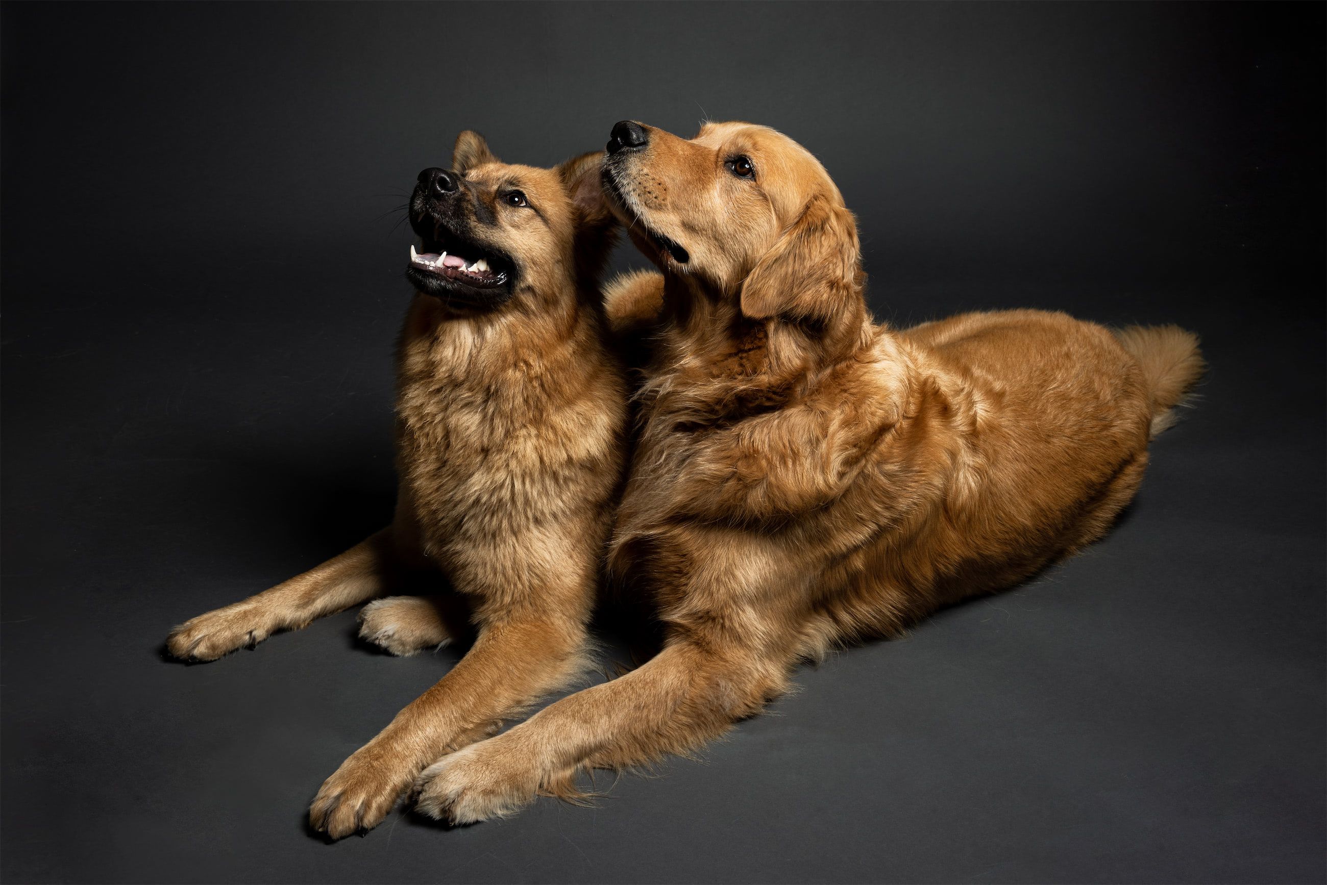 Frannie and Graham pose for the prom.