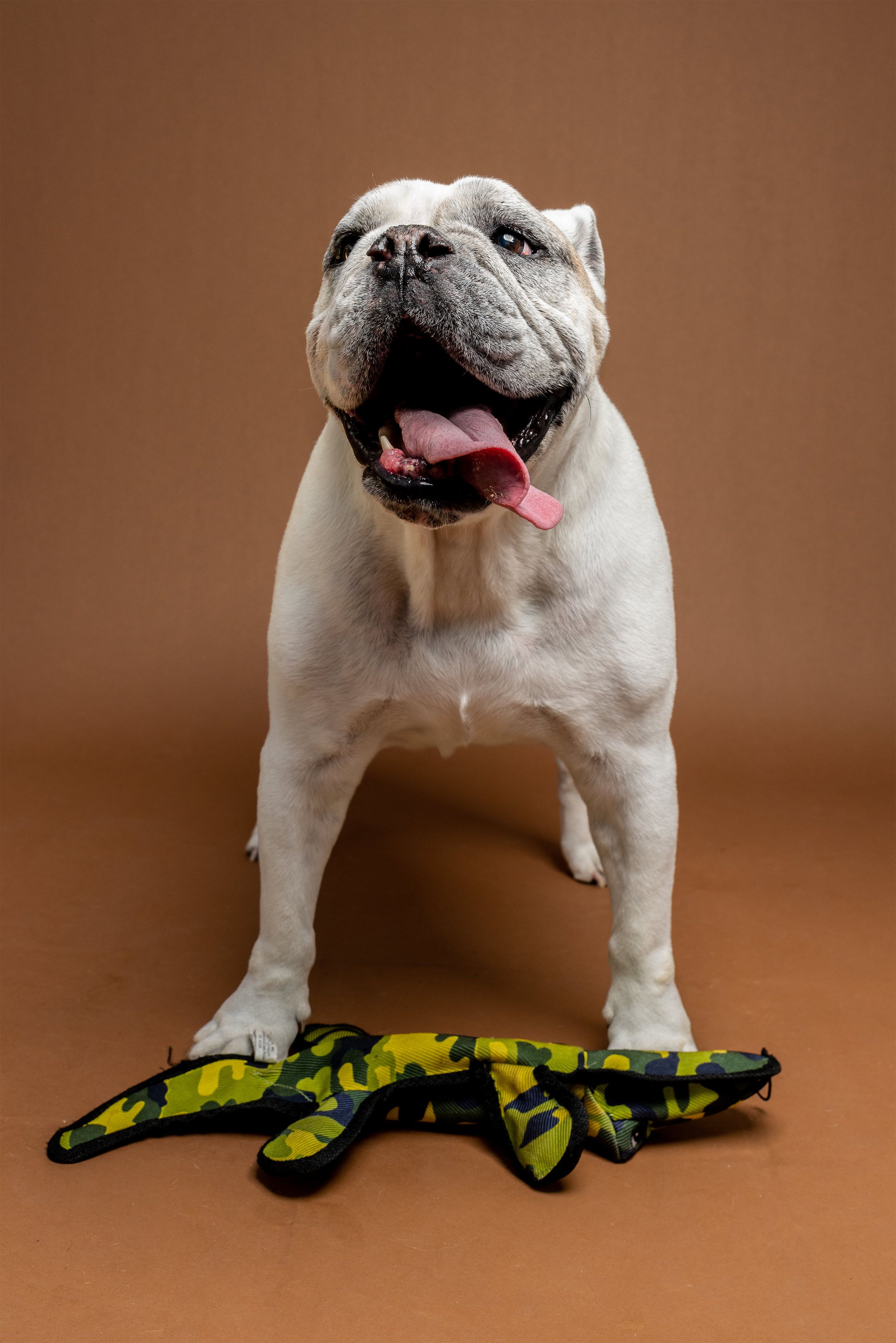 Chunk the dog with a huge smile