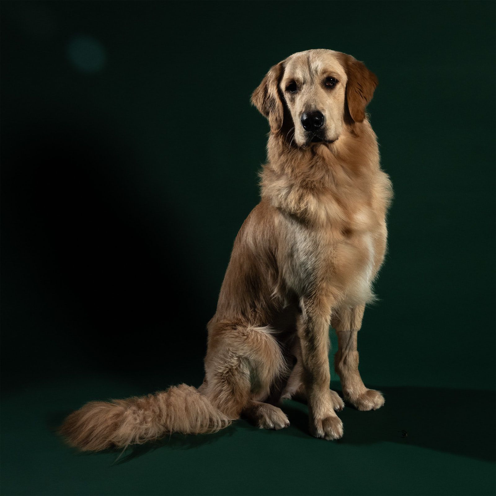 __wf_reserved_inherit