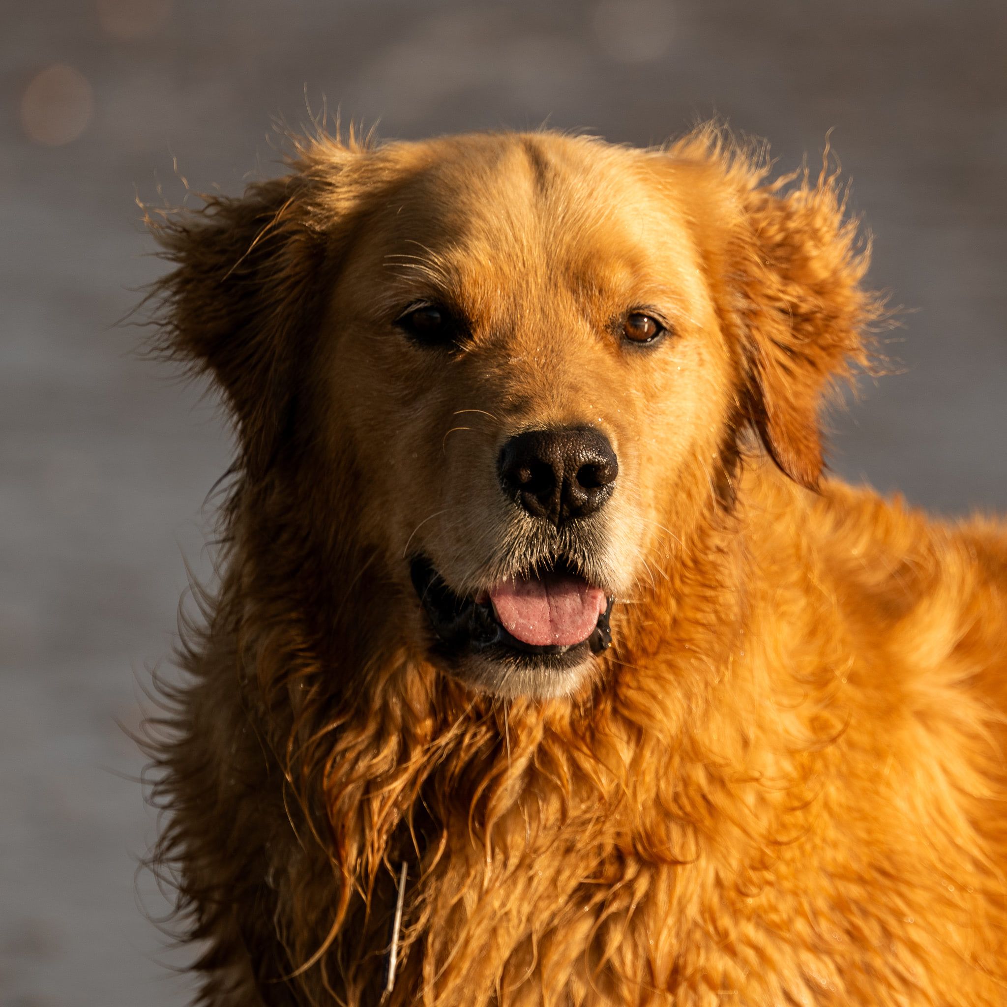 Graham enjoying the ocean water.