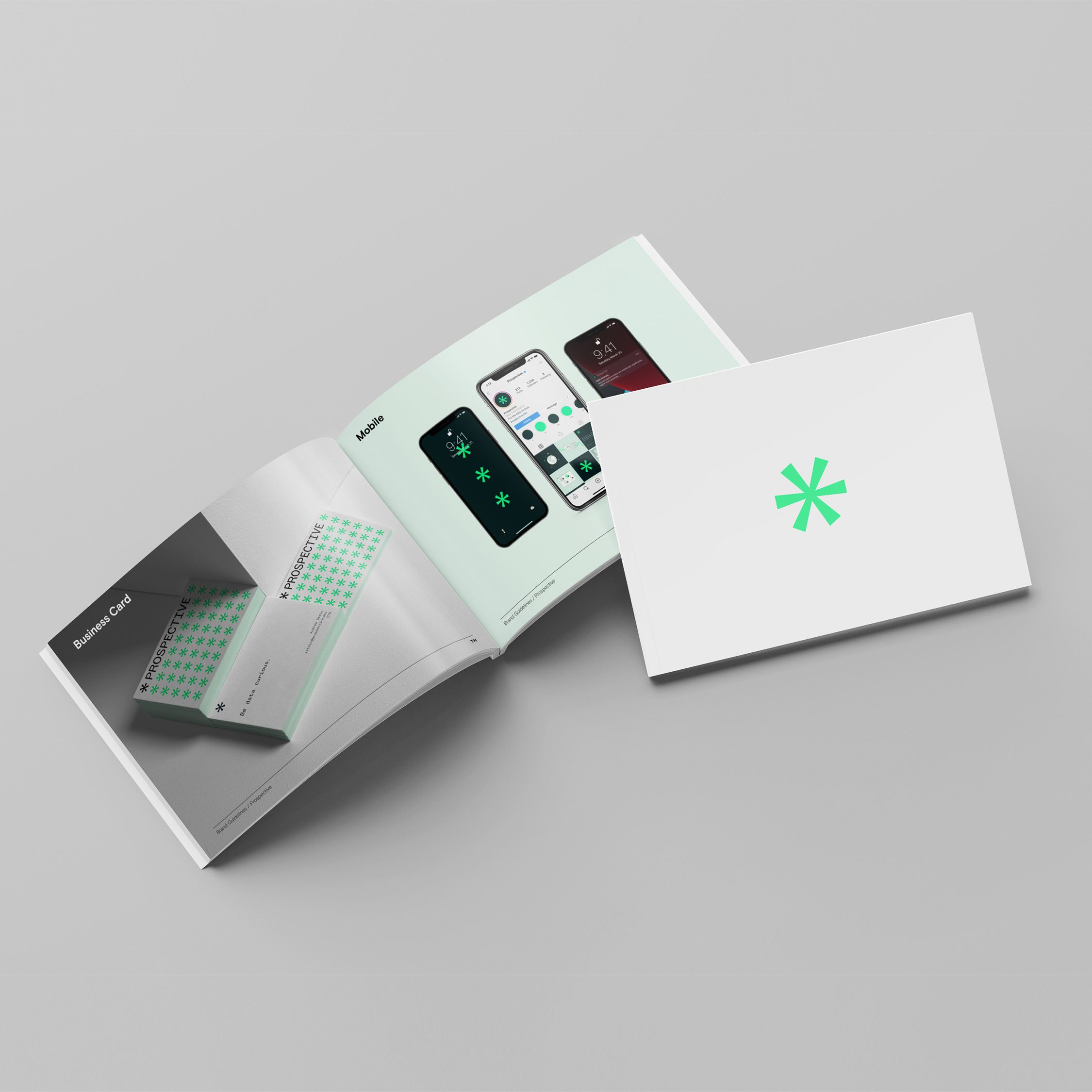 Prospective brand guidelines cover 