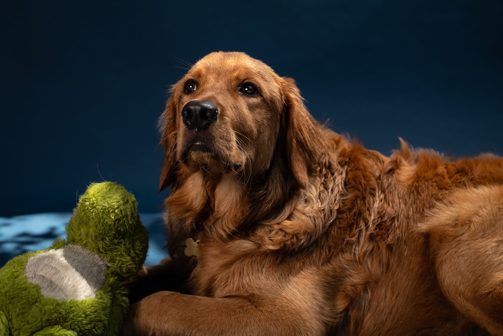 __wf_reserved_inherit