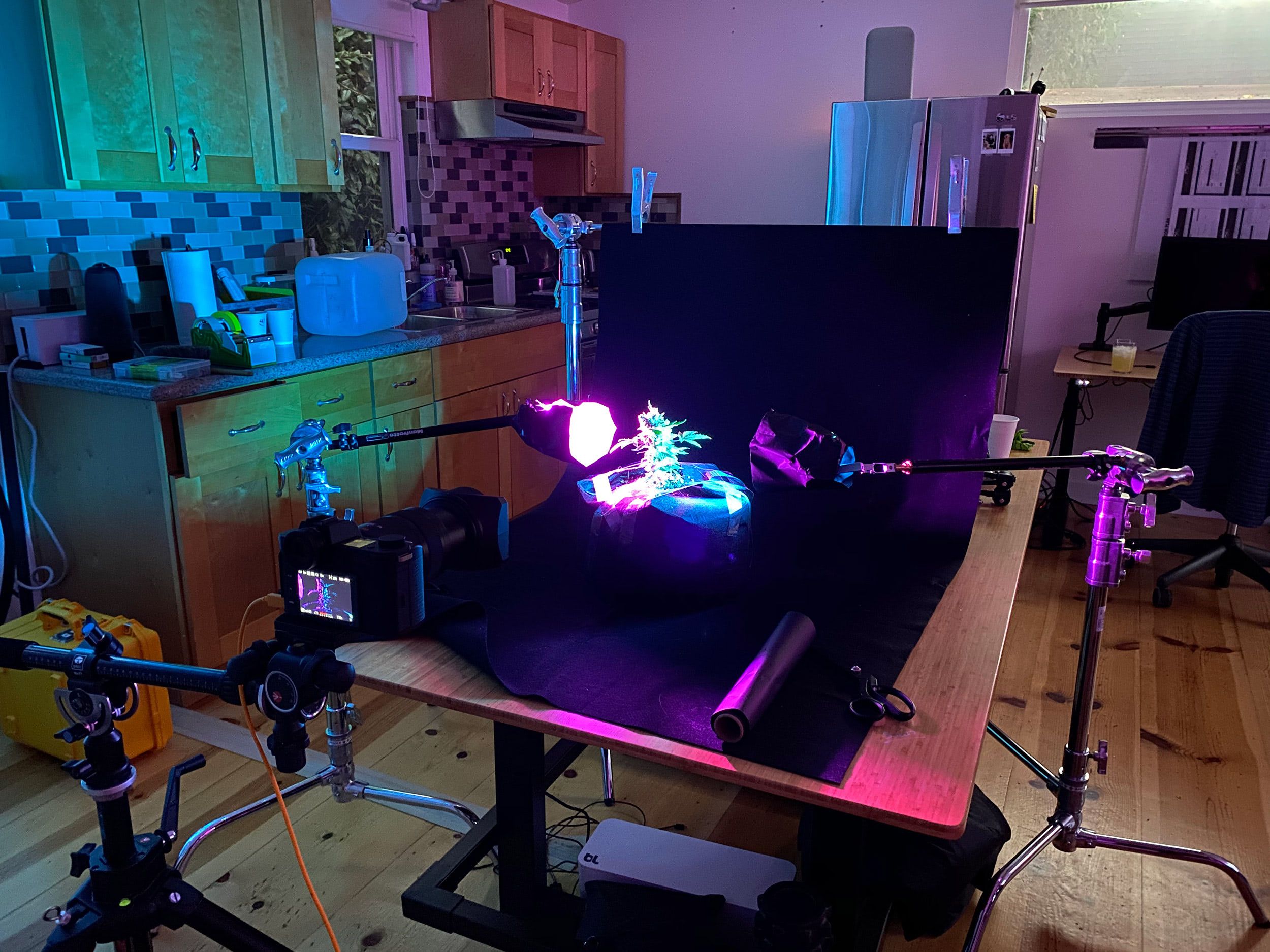 neon nugget shoot behind the scenes