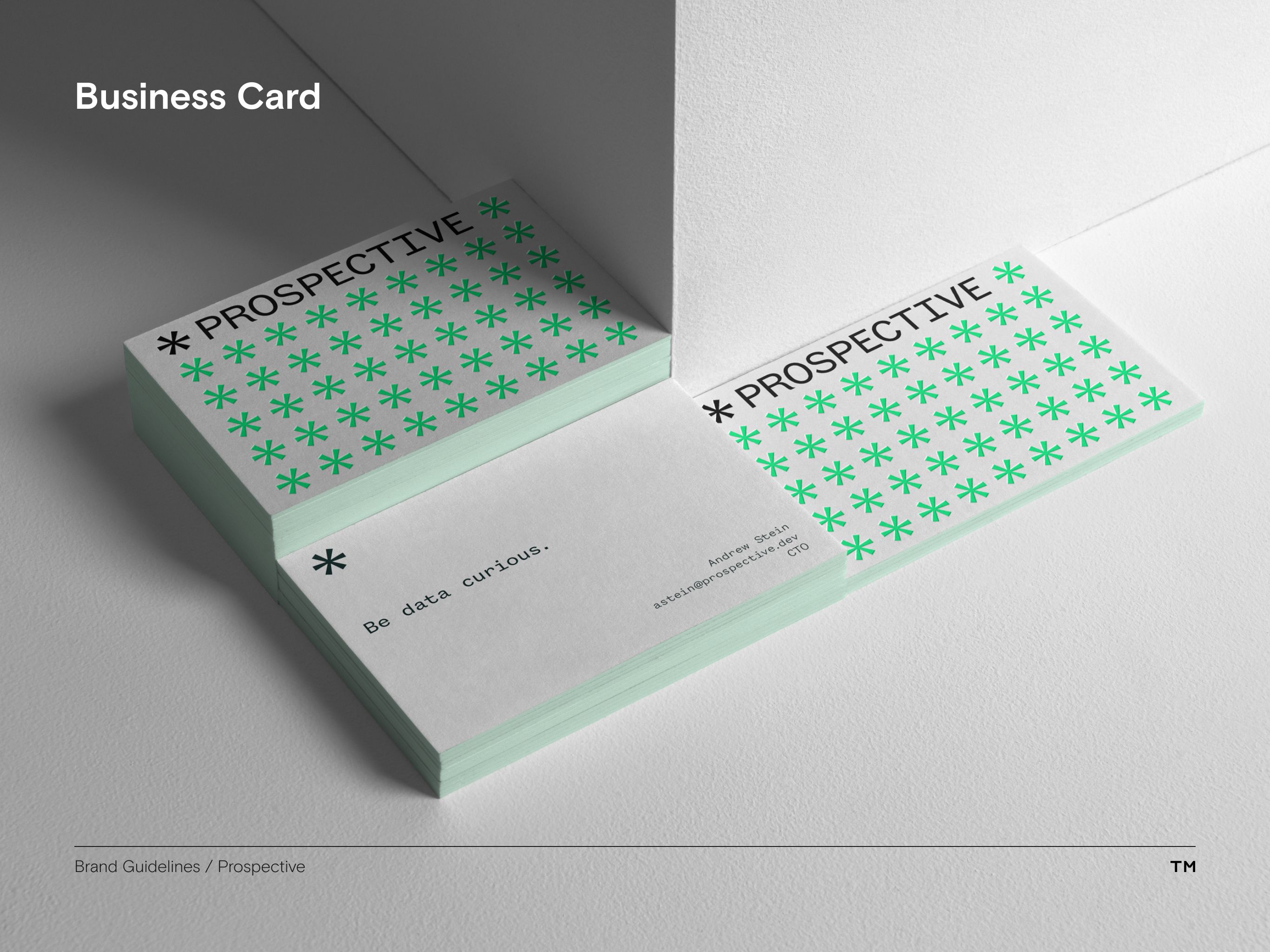 Prospective brand guidelines business card mockup