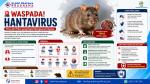 Awas Bahaya Kotoran Tikus! Kenali Hantavirus yang Bisa Picu Gangguan Paru-Paru Akut - Klinik Pratama Pradhana