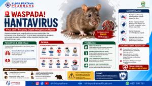 Awas Bahaya Kotoran Tikus! Kenali Hantavirus yang Bisa Picu Gangguan Paru-Paru Akut - Klinik Pratama Pradhana