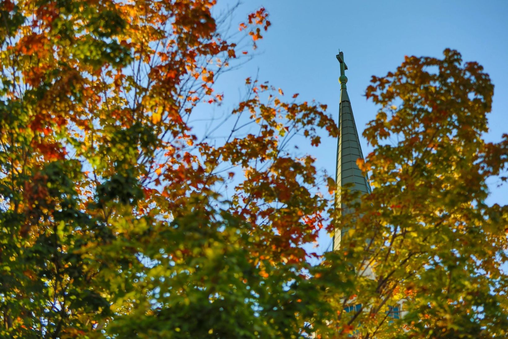 campus image