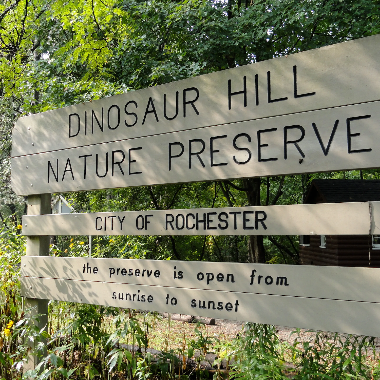 Dinosaur Hill Nature Preserve