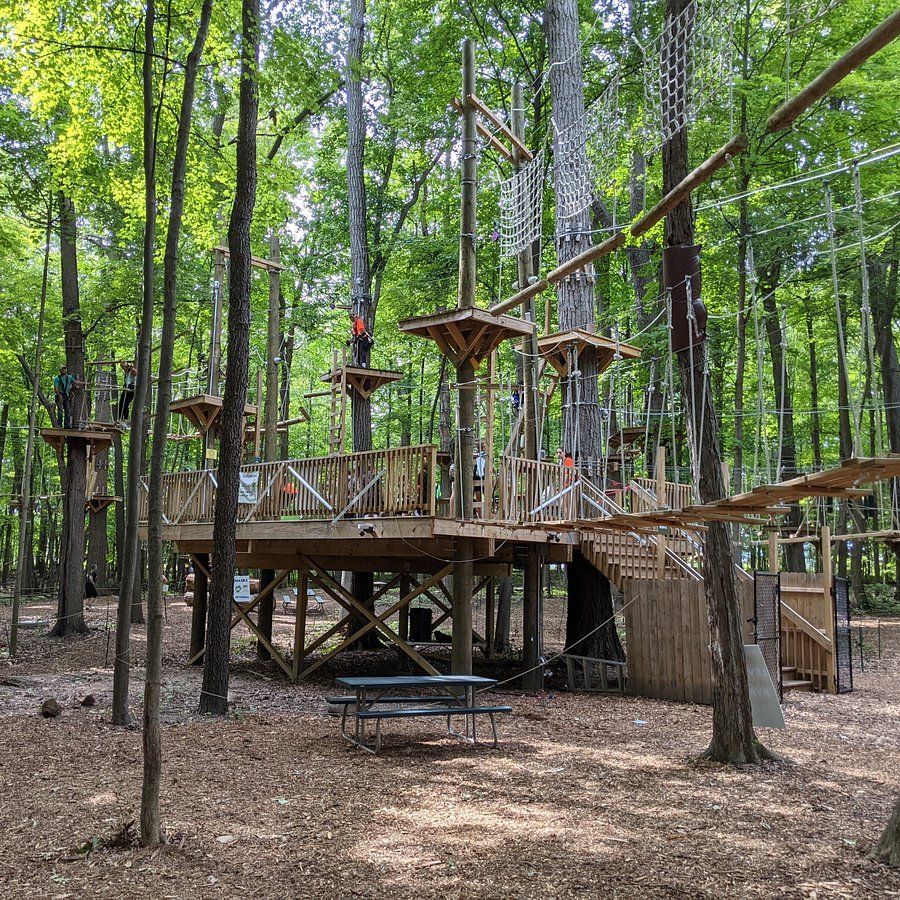 TreeRunner Adventure Park