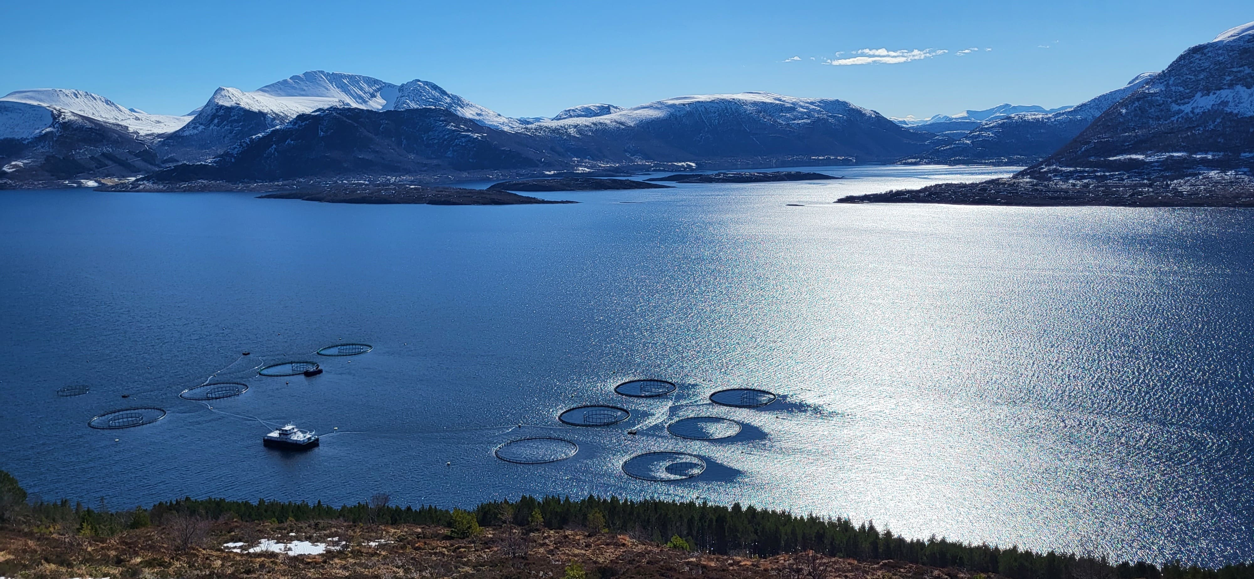 Is the seafood industry outgrowing its ERP systems?