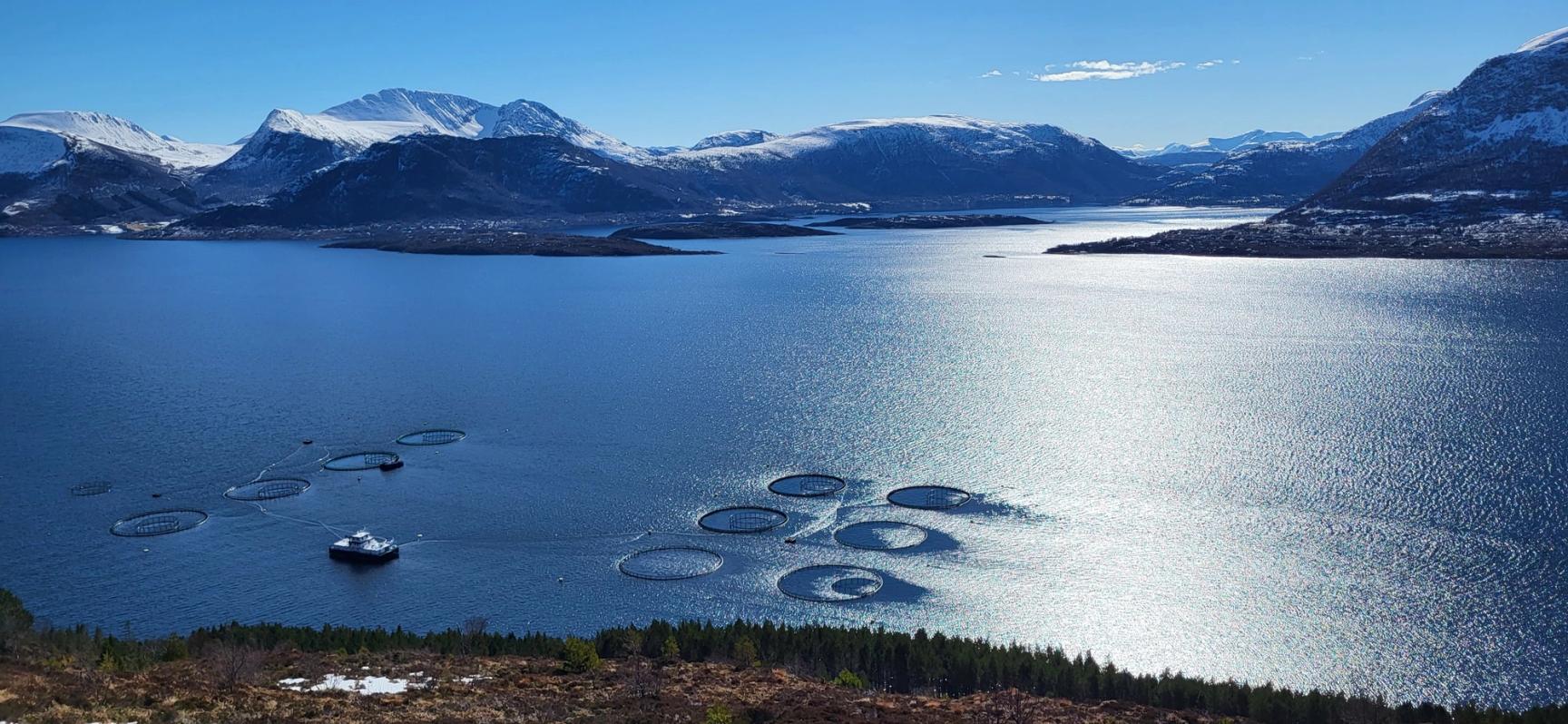 A scenic fjord with circular fish farming pens on the water, a boat nearby, surrounded by snow-capped mountains and forested shoreline under a clear blue sky.
