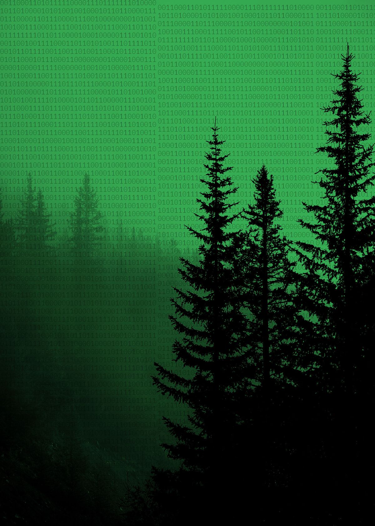 The Dark Forest Theory of the Internet