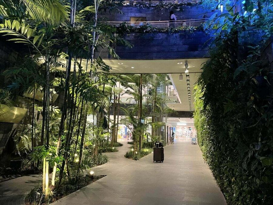 Část letiště Jewel připomíná spíš deštný prales než budovu a tak představuje velmi příjemné prostředí pro relax, Singapur.
