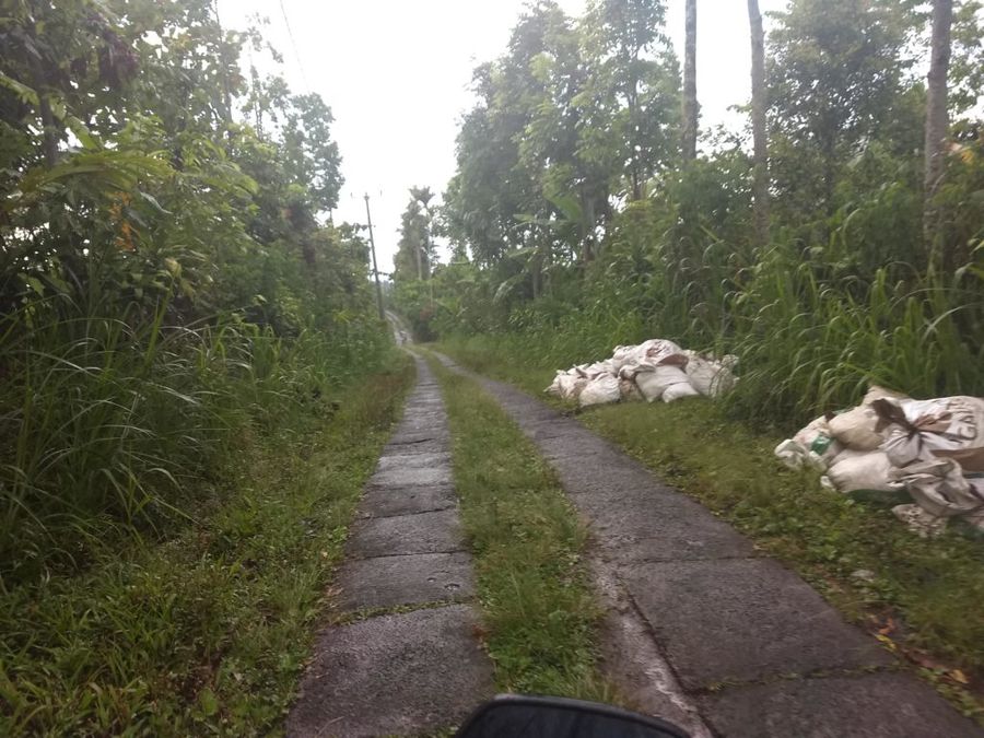Většina hlavních turistických tahů je velice dobře sjízdná, pozor ale na vedlejší cesty. Tato cesta vede z hor od jezera Danau Tamblingan na sever ostrova, je dlouhá asi 5 km a překonáte na ní velké převýšení kolem 700 m. Pozor na uvařené brzdy!